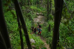 BIB: 
                            <button type="button" onclick="openModal(22242006)" class="btn btn-primary btn-sm float-right btn-popup" data-toggle="modal" data-target=".modal-high-quality">
                        <i class="fas fa-shopping-cart"></i> Add to Cart
                    </button>
                                            <button type="button" onclick="isThisMe(22242006, true)" class="btn btn-success btn-sm float-right btn-popup btn-isme hidden" data-toggle="tooltip" data-placement="bottom" title="นี่คือรูปของคุณใช่ไหม คลิกที่นี่เพื่อเอาเข้าอัลบั้ม">
                        <i class="fas fa-plus"></i> Add to album
                    </button>
                    <button type="button" onclick="isThisMe(22242006, false)" class="btn btn-warning btn-sm float-right btn-popup btn-isnotme hidden">
                        <i class="fas fa-ban"></i> Remove from album
                    </button>